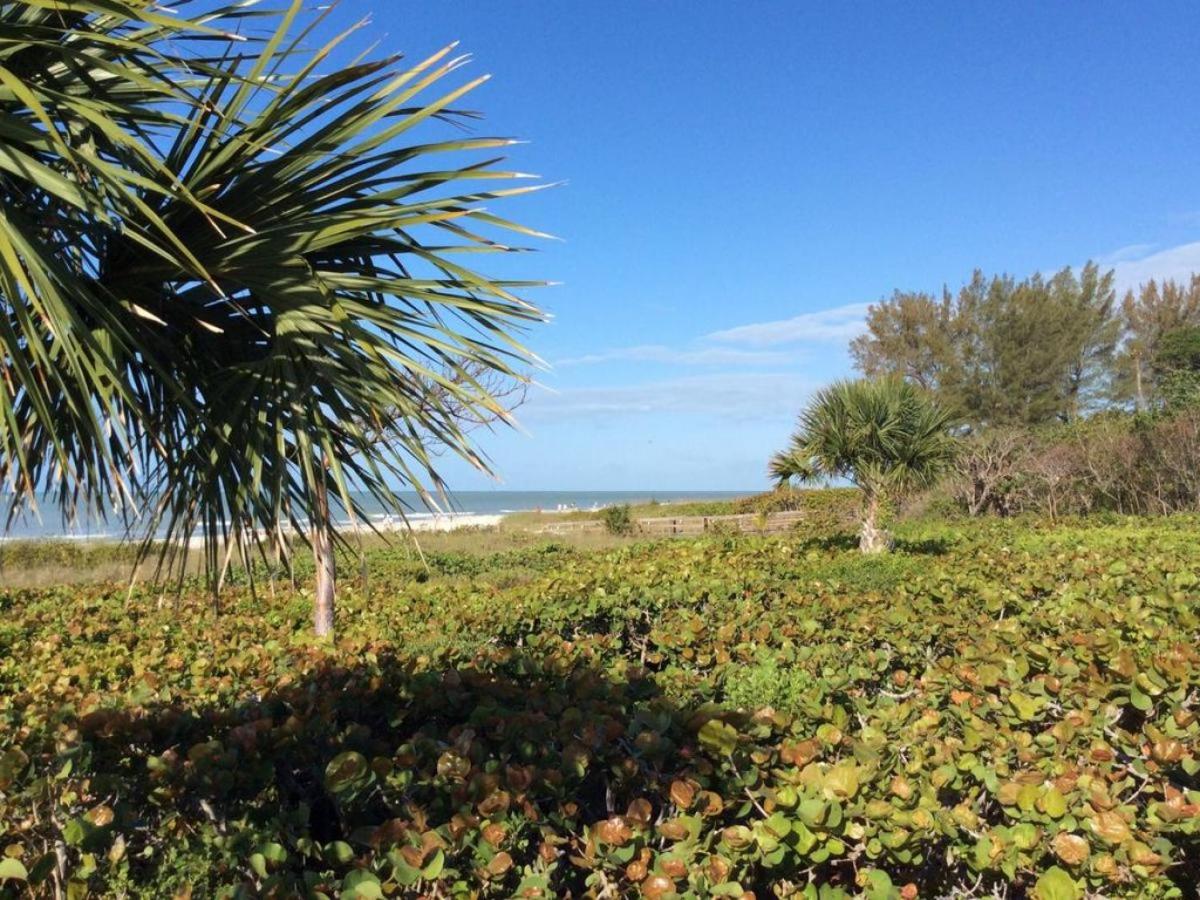 Tarpon Beach 301 - image 7
