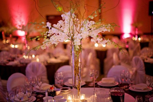 DoubleTree by Hilton Santa Ana - Orange County Airport - image 7