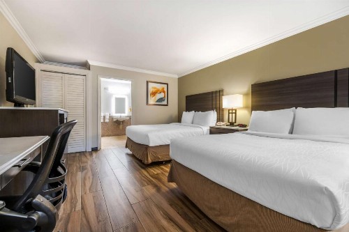 Best Western Plus Orange County Airport North - image 19