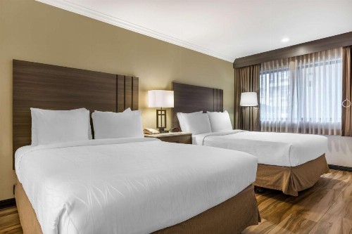 Best Western Plus Orange County Airport North - image 21