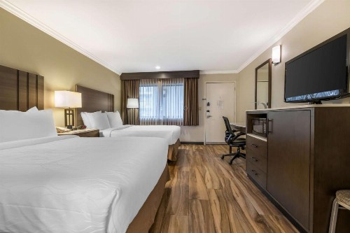 Best Western Plus Orange County Airport North - image 22