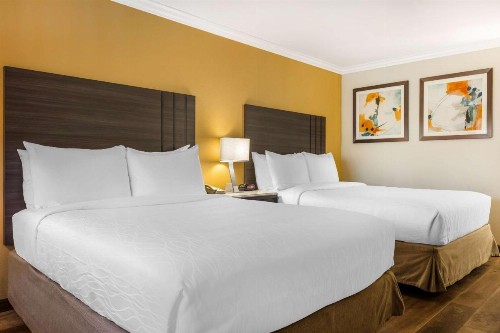 Best Western Plus Orange County Airport North - image 23