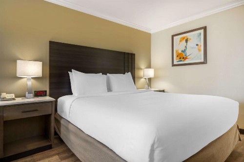 Best Western Plus Orange County Airport North - image 7