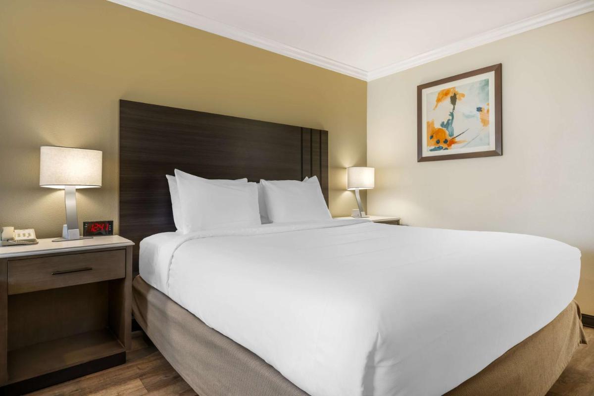 Best Western Plus Orange County Airport North - image 7