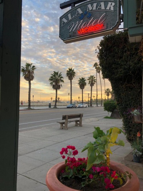 Ala Mar by the Sea - image 14