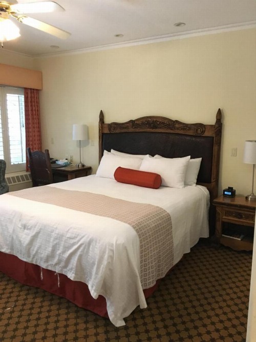 The Eagle Inn - image 3