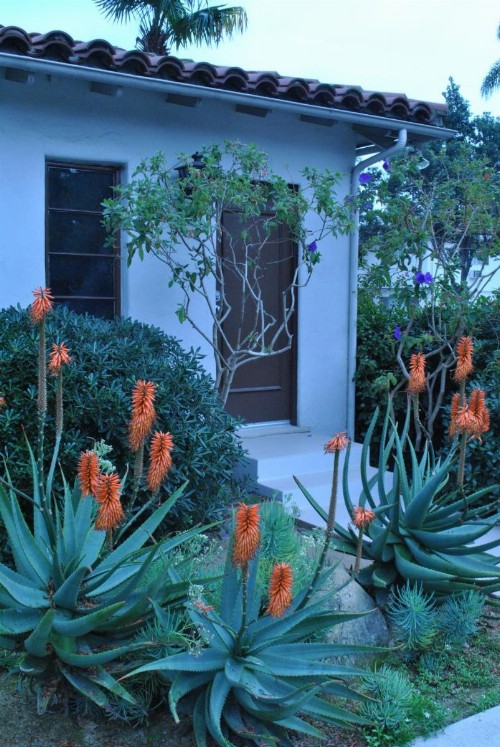 Casa Del Mar Inn - image 11