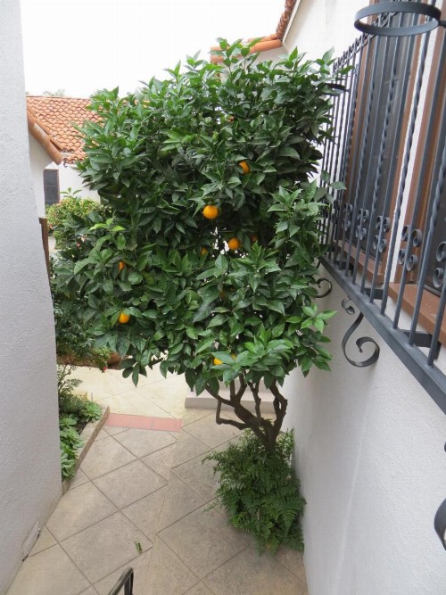 Casa Del Mar Inn - image 46
