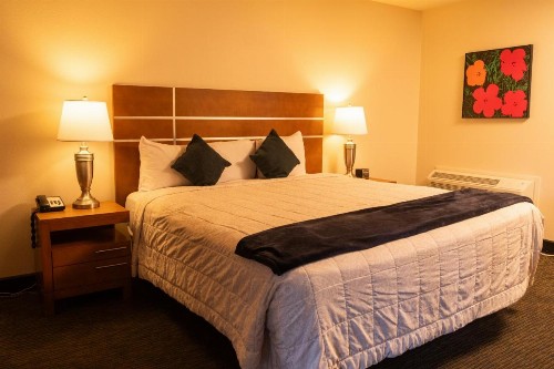 Lemon Tree Inn - image 19