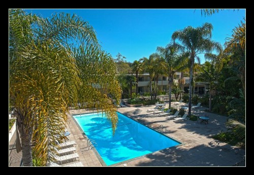 Lemon Tree Inn - image 20