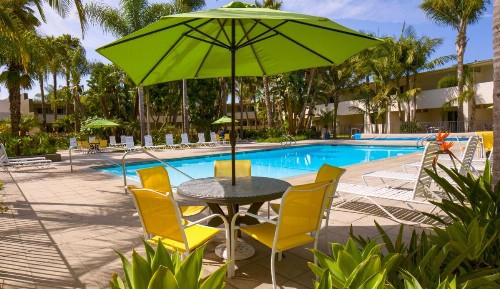 Lemon Tree Inn - image 26