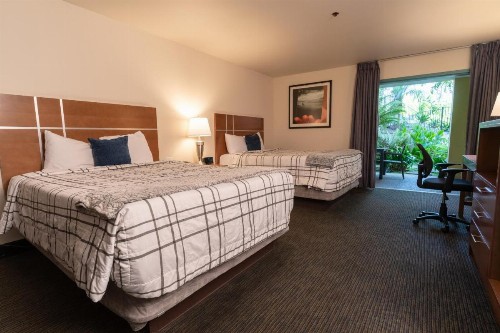 Lemon Tree Inn - image 28