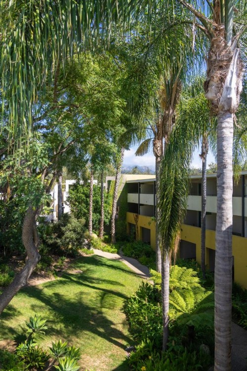 Lemon Tree Inn - image 4