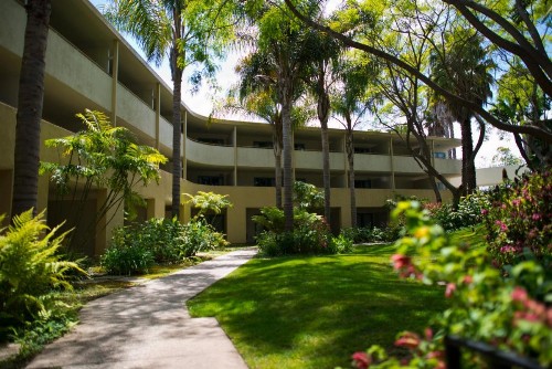 Lemon Tree Inn - image 40