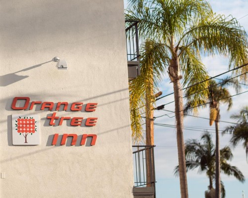Orange Tree Inn - image 15