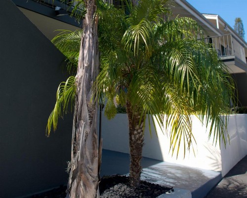 Orange Tree Inn - image 21