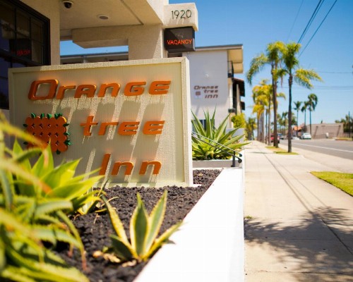 Orange Tree Inn - image 22