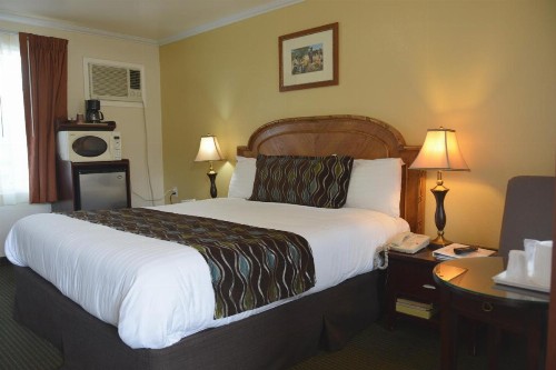 Oasis Inn and Suites - image 44
