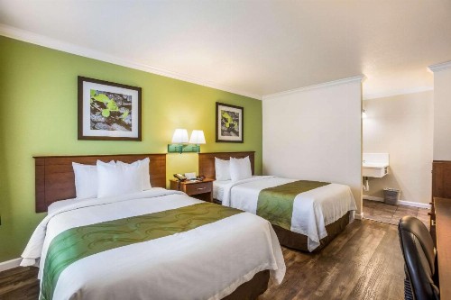 Quality Inn Santa Barbara - image 7