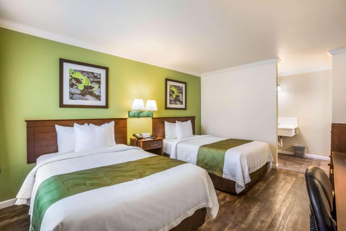 Quality Inn Santa Barbara - image 7