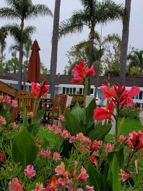 Marina Beach Motel - image 12