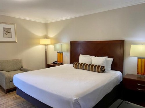 Rose Garden Inn - image 10