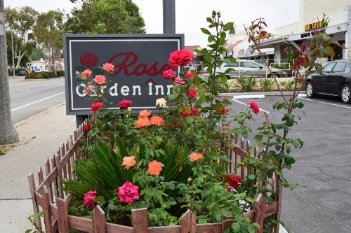 Rose Garden Inn - image 27