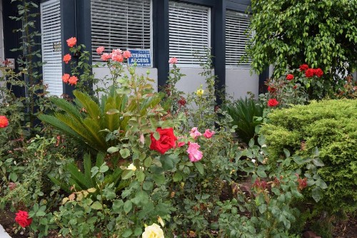 Rose Garden Inn - image 5