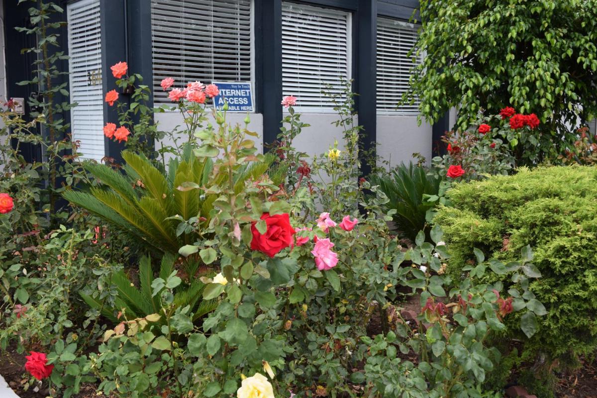 Rose Garden Inn - image 5