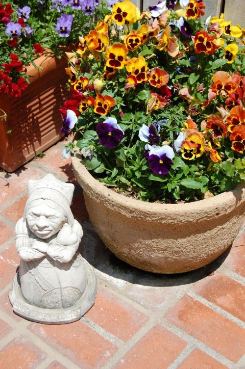 Cheshire Cat Inn & Cottages - image 16