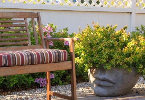 Cheshire Cat Inn & Cottages - image 49