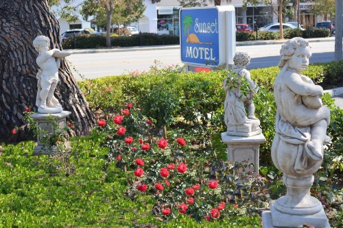 Sunset Motel - image 2