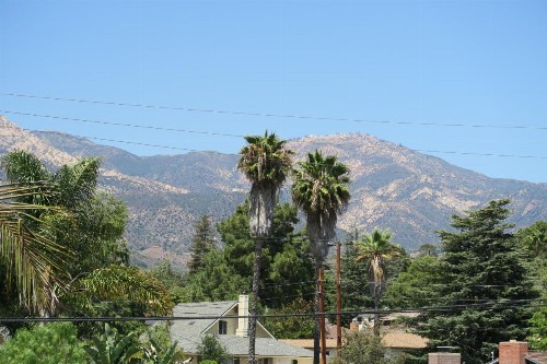 Sunset Motel - image 27