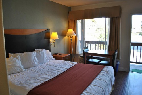 Sunset Motel - image 40