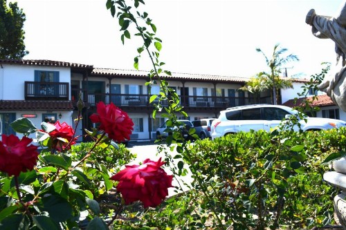 Sunset Motel - image 9