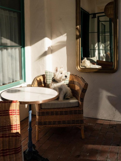 Palihouse Santa Barbara - image 46