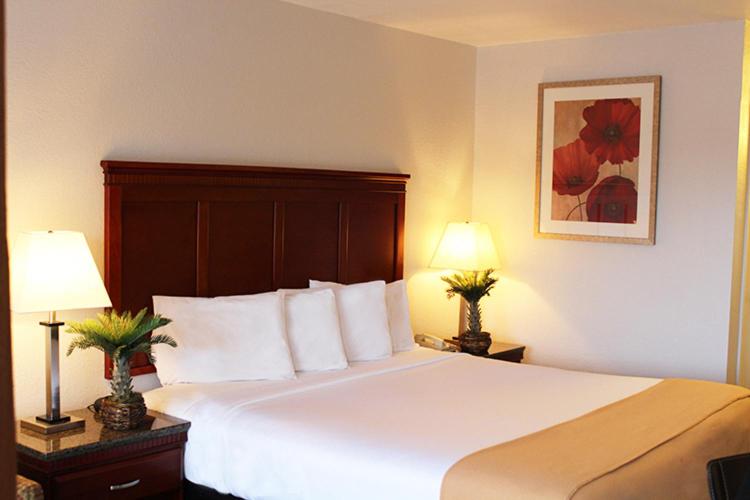Hotel E Real - image 2