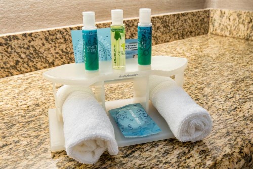 Holiday Inn Express & Suites Santa Clara an IHG Hotel - image 29