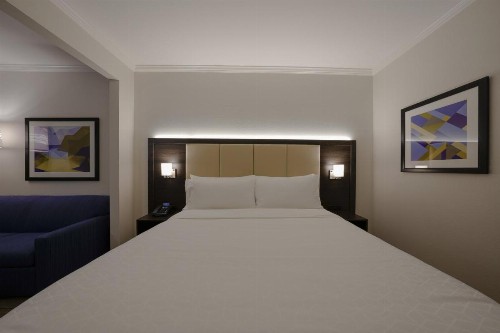 Holiday Inn Express Hotel & Suites Santa Clara - Silicon Valley an IHG Hotel - image 39