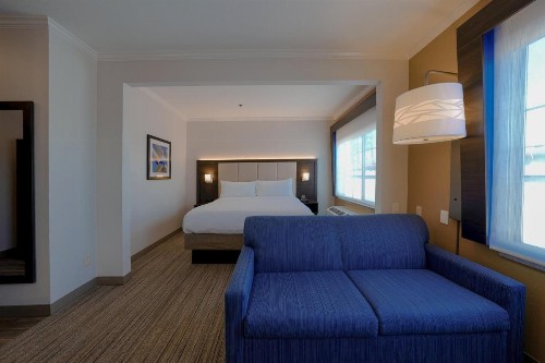 Holiday Inn Express Hotel & Suites Santa Clara - Silicon Valley an IHG Hotel - image 46
