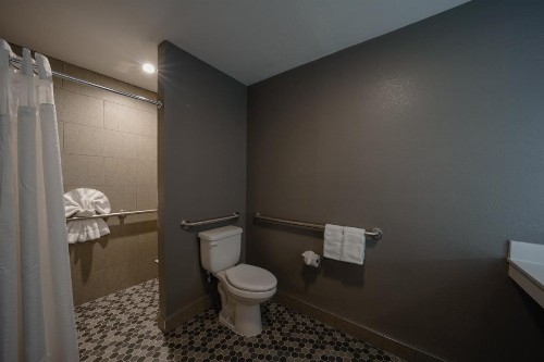 Holiday Inn Express Hotel & Suites Santa Clara - Silicon Valley an IHG Hotel - image 48