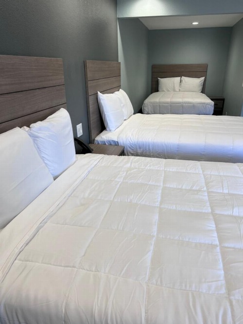 Surf City Inn & Suites - image 46