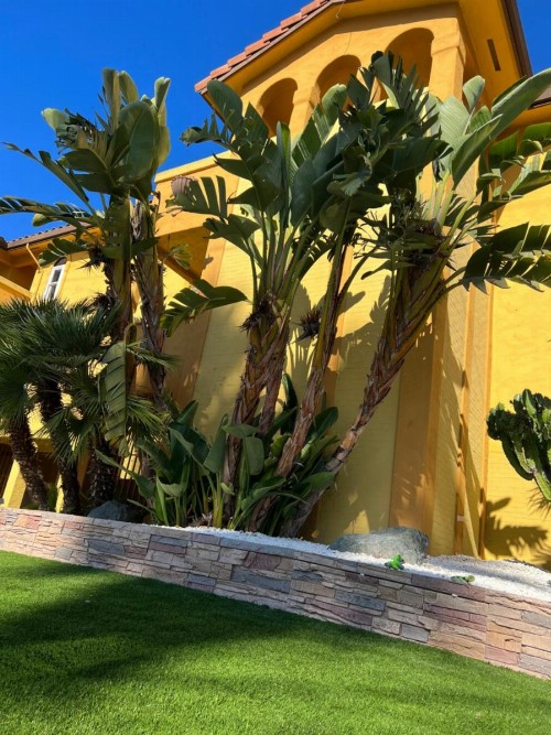 Pacific Inn Santa Cruz - image 4