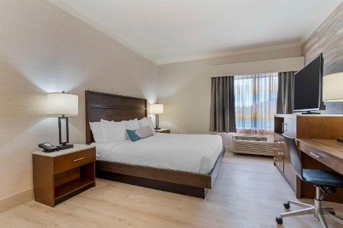 Best Western Plus All Suites Inn - image 22