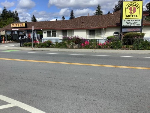 National 9 Motel - image 11