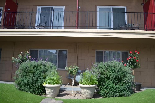 Oceana Inn Santa Cruz - image 3
