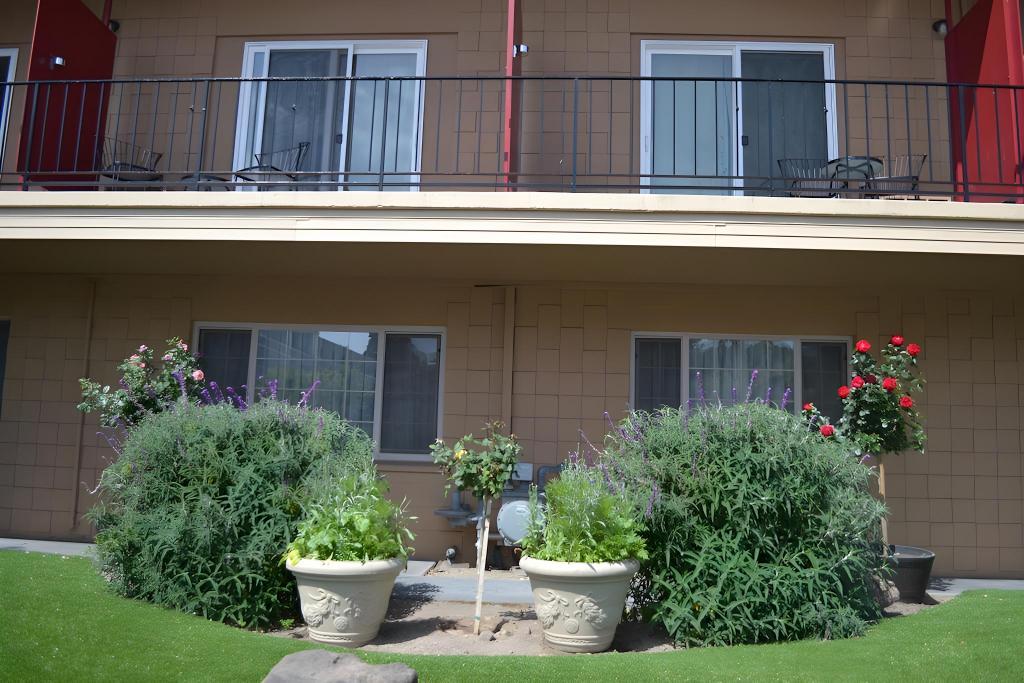 Oceana Inn Santa Cruz - image 3