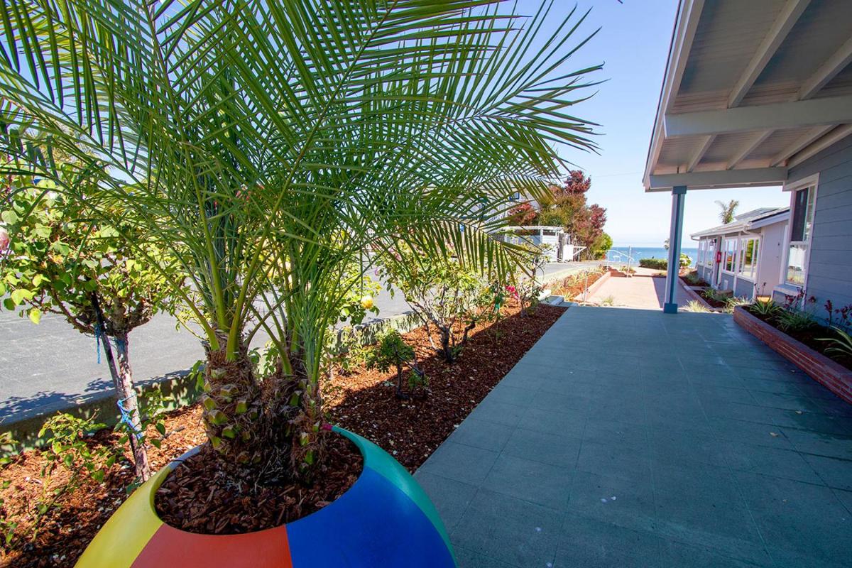 Edgewater Beach Inn & Suites - image 5