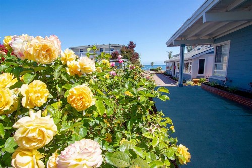 Edgewater Beach Inn & Suites - image 6