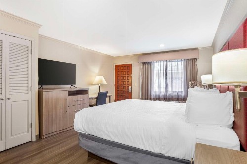Best Western Inn - image 24